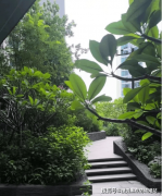 大概能清晰的谜底